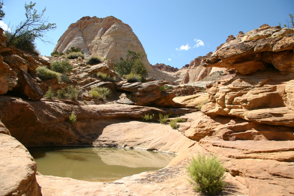 08 - Capitol Reef NP (2).JPG